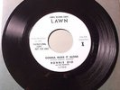Ronnie Dio & The Prophets  Swingin Street  LAWN 218 Teen Rock 45 Black Sabbath