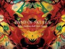 Baby Darling Doll Face Honey (Ogv) [12 inch Analog] Band of Skulls LP Record