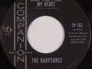 THE HARPTONES: What Will I Tell / Foolish Me COMPANION 45 Soul Doo Wop NM-