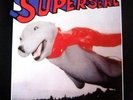 SKRATCHY SEAL Super Seal LP NEW COLORED VINYL Dirtstyle DJ Qbert D-Styles Battle