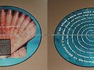 Etienne DAHO CARIBEAN SEA PICTURE DISC TRES RARE COLLECTOR