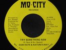 DANI RAYE & NATURE'S WAY: Try Something New / Clouds On A Sunny Day 45 Hear  (l