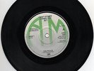 THE POLICE/STING - CAN'T STAND LOSING YOU - UK - RARE BLACK VINYL GREEN LABEL b