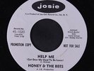 HONEY & BEES: Help Me 45 (dj) Soul