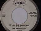 THE MAGNIFICENTS: Up on the Moutain VEE JAY Doo Wop VJ 367 Promo 45 Hear
