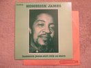 Homesick James Homesick James Ain't sick no More Bluesway 1973