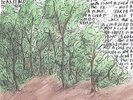 Earth Is Not A Cold Dead Place - Explosions In The Sky (Vinyl Used Very Good)