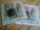BEAK - Couple in Hole  lp Signed print portishead  exclusive coloured vinyl