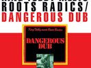 King Tubby Meets Roots Radics - Dangerous Dub