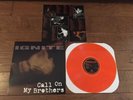 Ignite Call On My Brothers  LP Orange  Color Vinyl NOFX Pennywise AFI Strife