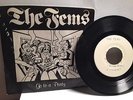 THE FEMS GO TO A PARTY Original Private Press, Test Press, BUFFALO, NY PUNK