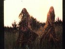 Lion's Roar - First Aid Kit (Vinyl Used Very Good)