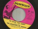 GARAGE FUZZ--SHADOWS OF KNIGHT -- ILL MAKE YOU SORRY  -HEAR BOTH -1966 DUNHILL