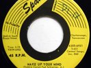 CARDIGANS 45 Make Up Your Mind / Half Breed VG++ Doo Wop STAMPED MATRIX e6996