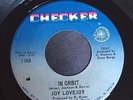 Joy Lovejoy - In orbit - Checker
