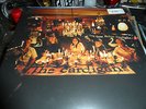 The Cardigans Long Gone Before Daylight, RSD Black Friday 2015 Vinyl LP SEALED