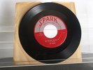 GR8 GROUP R&B GROUP DOO WOP 45 ;THE ROBINS; RIOT IN CELL BLOCK #9/ WRAP IT UP