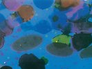 Scientist - Dub Landing [Vinyl New]