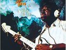 I Wanna Get Funky - Albert King (2015, Vinyl NEW)