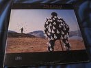 Pink Floyd Delicate Sound of Thunder Doppel  LP