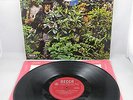 SAVOY BROWN - 