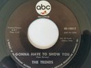 RARE Northern Soul Funk 45 record The Trends #10817 ABC VG++ L K
