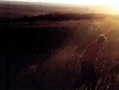 Stay What You Are - Saves The Day (2011, Vinyl NEW)