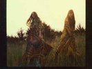 First Aid Kit- The Lion's Roar New Sealed  Vinyl [180g] w/ CD