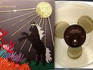 BIG BUSINESS Command Your Weather LP CLEAR & GOLD RAYS Vinyl 60/300 OOP Melvins