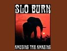 Slo Burn - Amusing The Amazing Vinyl Maxi Cargo Records NEW