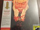 Castlevania Video Game Soundtrack Mondo Vinyl 2016 SDCC Variant Art Sold Out