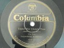 California Ramblers Under the Ukulele Tree Columbia 610-D