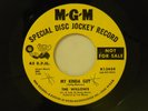 The Willows 45 MY KINDA GUY / HURTIN' ALL OVER   MGM VG++