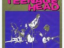 Teenage Head 45 Let's Shake NOS 1980 Canada Garage Punk Rocker Canada Attic 220