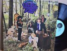 RARE LP - THE LITTLE BOY BLUES - IN THE WOODLAND OF WEIR Psych Rock Fuzz