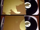 THIS WILL DESTROY YOU Young Mountain LP/1st/200 shoegaze explosions in the sky