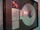 FREE UK POST Gloria Estefan OFFICIAL RIAA AWARD  Miami Sound Machine