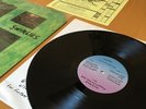 Swirlies | What To Do about Them | Vinyl NM | Chimp Rock | Shoegaze
