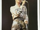 Stunning photo David Bowie signed 10
