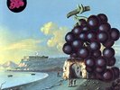 MOBY GRAPE Wow LP NEW GARAGE PSYCH BLUES FOLK POP VINYL OOP SUNDAZED