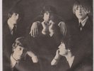 The Byrds 