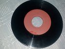 The Termites ?– Beach boy / Mamma didn't know  //  VG