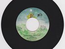 BLACK UHURU - DREAD IN THE MOUNTAIN / LET US PRAY - JR ( KILLER DIGI ROOTS 7 )