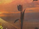 PRETTY THINGS LP, PARACHUTE (RARE EARTH US Issue NM/NM)