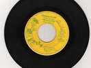 1966 MN. Garage Rock The Electras 