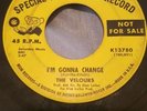 THE VELOURS-I'M GONNA CHANGE/DON'T PITY ME 45 RECORD MGM PROMO K13780