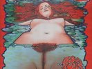Baby Woodrose Blows Your Mind NEW OVP Bad Afro Vinyl LP