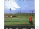 8 pezzi CSI TABULA RASA ELETTRIFICATA CONSORZIO SUONATORI INDIPENDENTI vinile