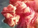 Mutiny On The Bounty - Digital Tropics (LP) Vinyl LP Warner NEW