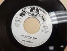THE ARABIANS RARE NORTHERN SOUL - PLEASE TAKE A CHANCE ON ME on LE MANS